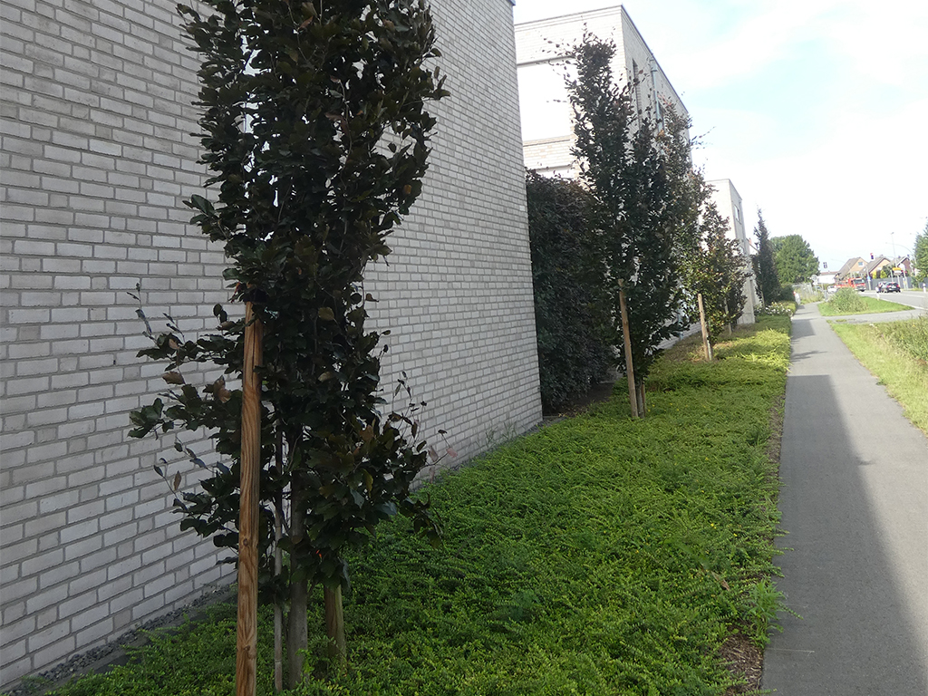 pflanzarbeiten-_0000s_0001_7