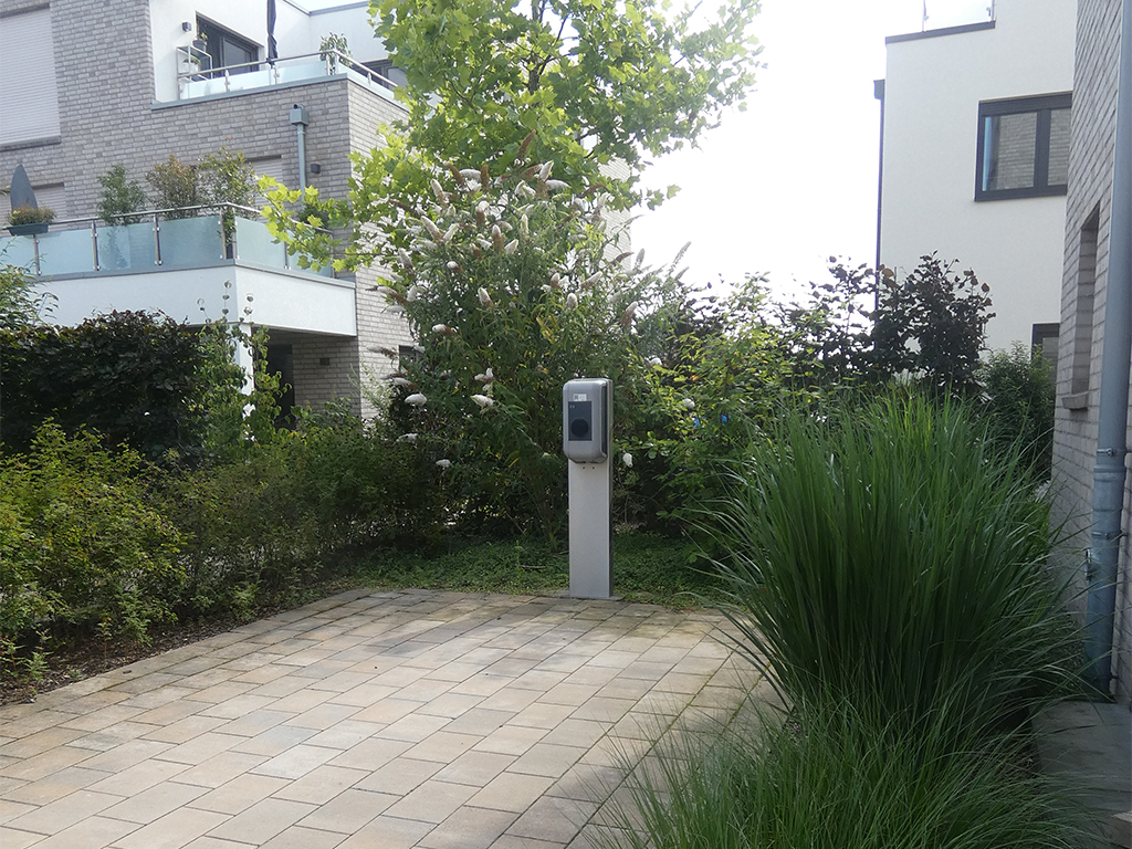 pflanzarbeiten-_0000s_0003_5